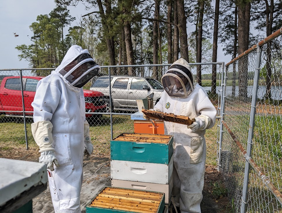 Beekeeping 2